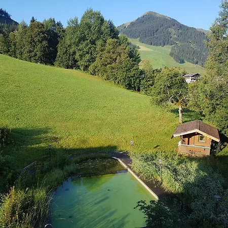 Hotel In Out Unterellmau Saalbach